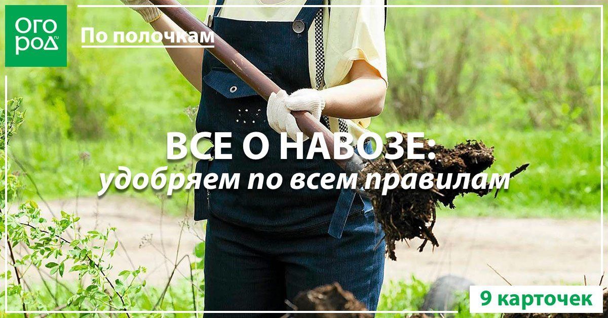 Навоз прикольные картинки